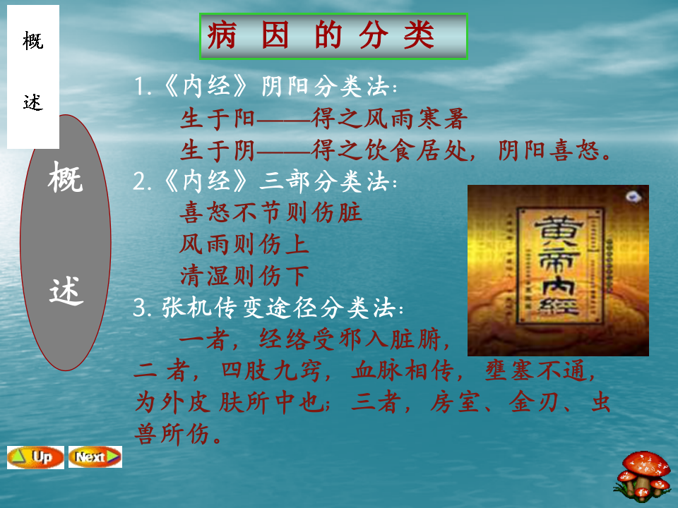 8_病因病机.ppt 第2页