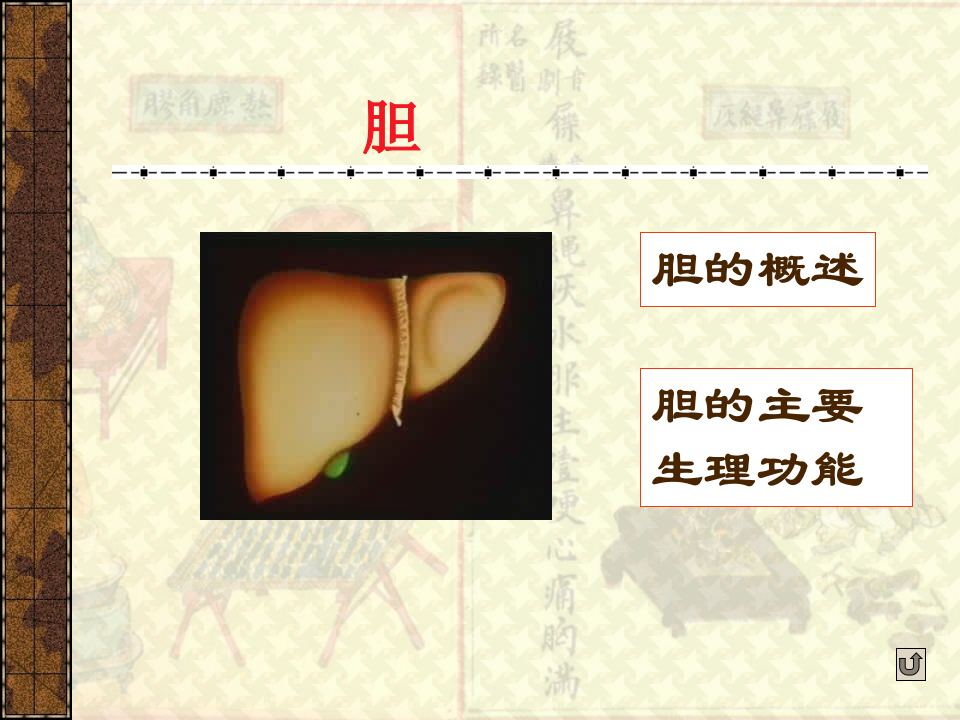 第三章_藏象_六腑.ppt 第5页