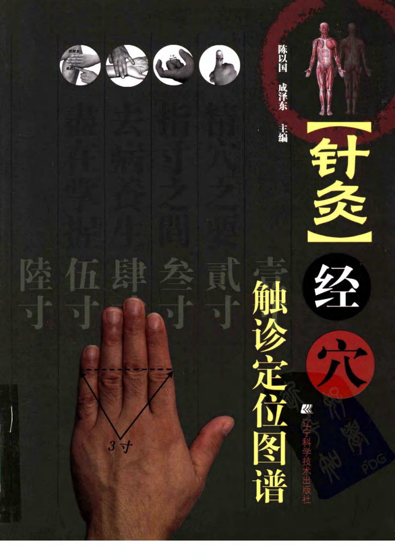 针灸经穴触诊定位图谱 陈以国、成泽东主编.pdf 第1页