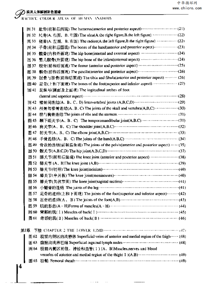 实用人体解剖彩色图谱.pdf 第2页