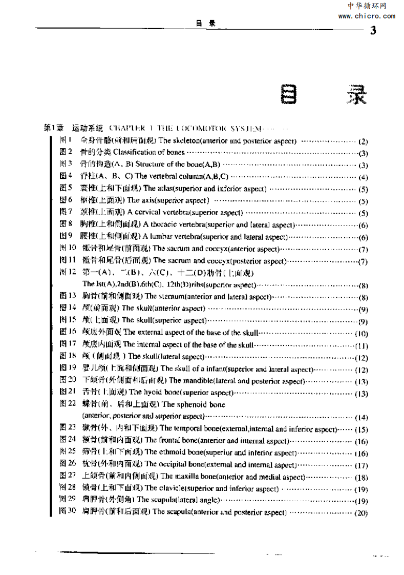 实用人体解剖彩色图谱.pdf 第1页
