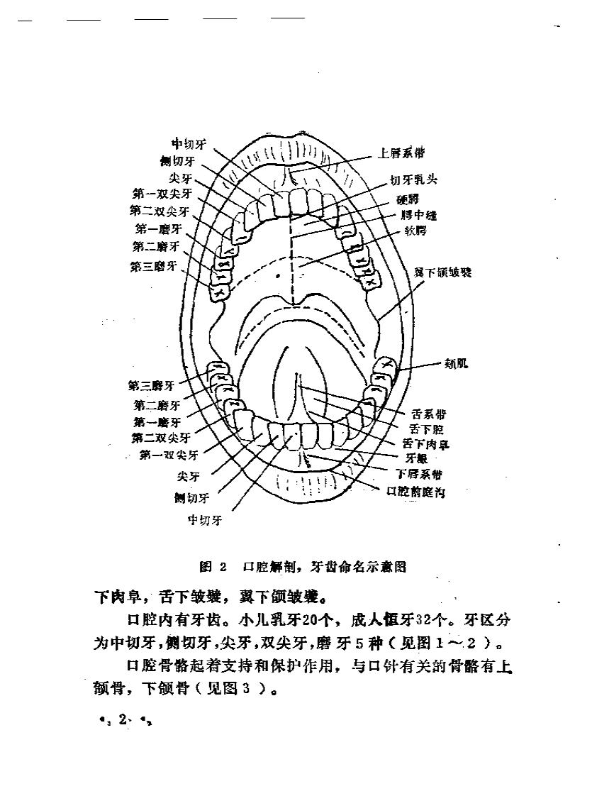 口针疗法.pdf 第4页