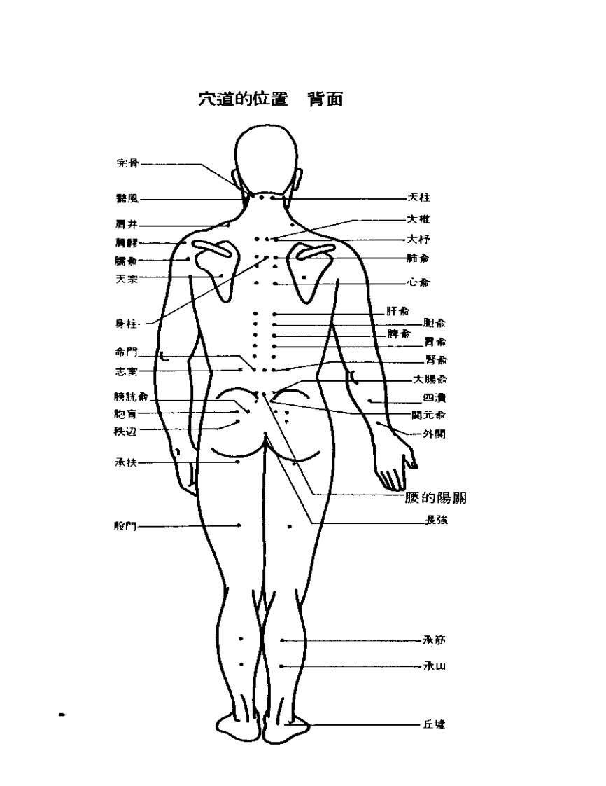 低周波穴道疗法.pdf 第3页