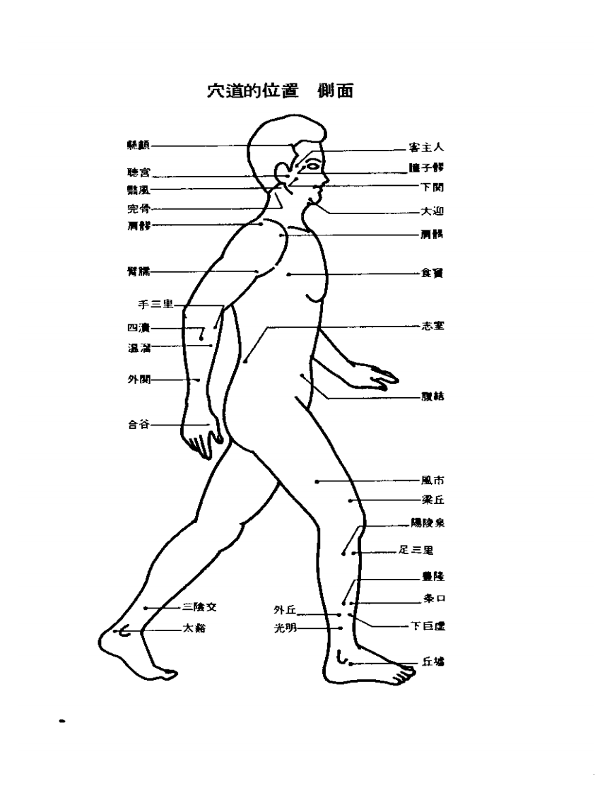 低周波穴道疗法.pdf 第4页