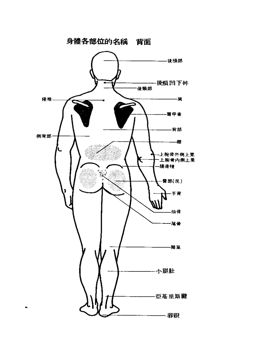 低周波穴道疗法.pdf 第5页