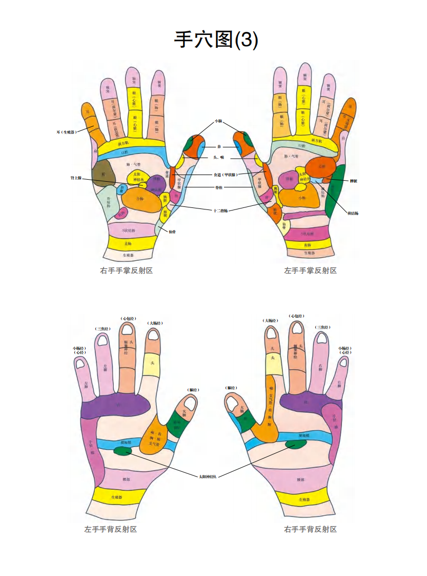 针灸穴位挂图.pdf 第4页