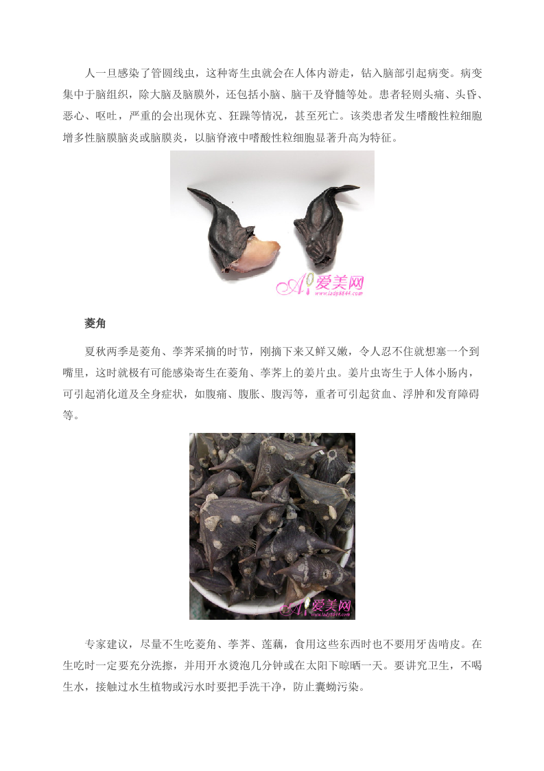 养生警惕：寄生虫最爱躲藏的4种食物.doc 第4页