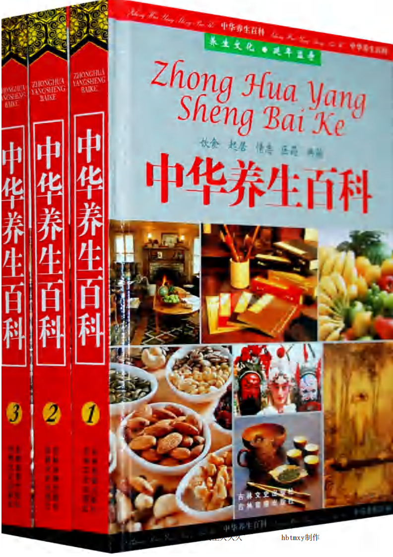 中华养生百科·上·丁华民.pdf 第1页