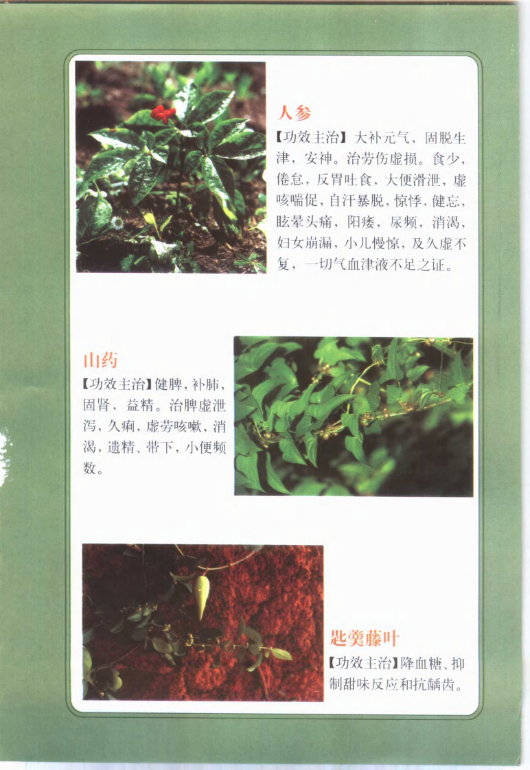 家庭必备日常食用治百病 彩色图文版 医用本草纲目.pdf 第2页