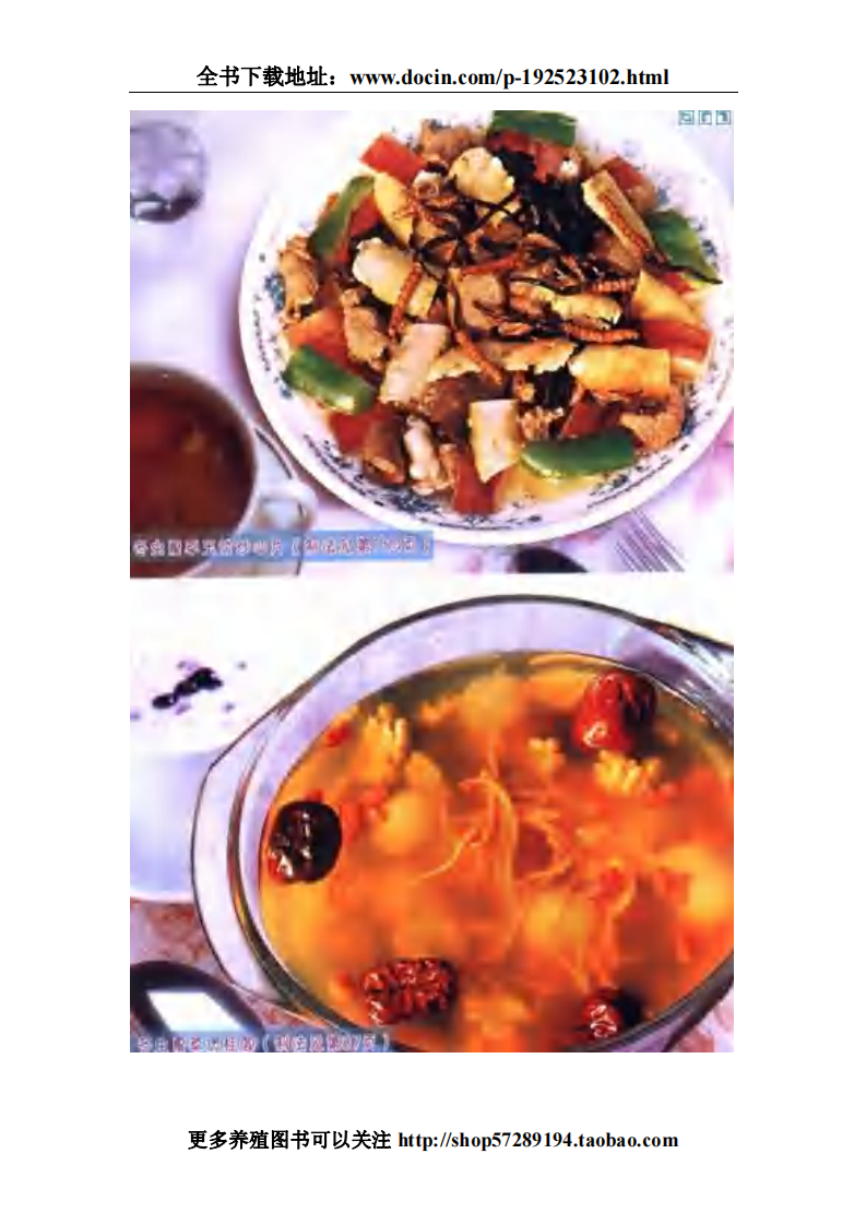 冬虫夏草药膳滋补大全 经典珍藏版.pdf 第5页