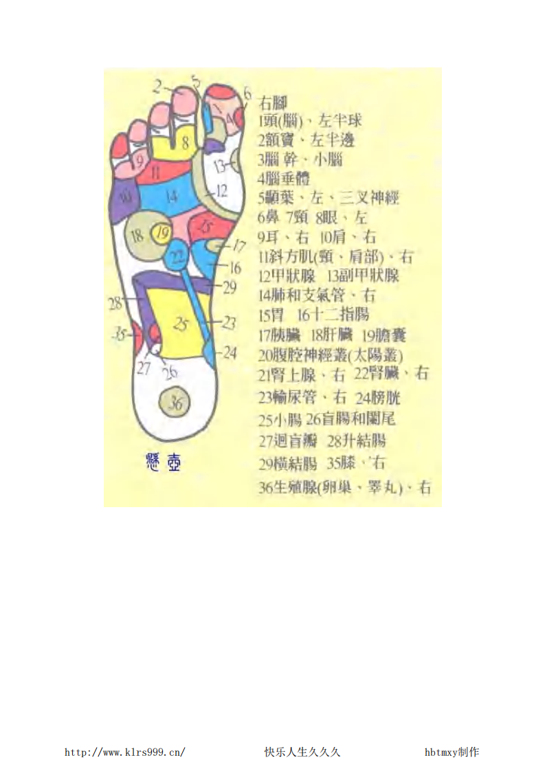 足部按摩&middot;12页.pdf 第5页