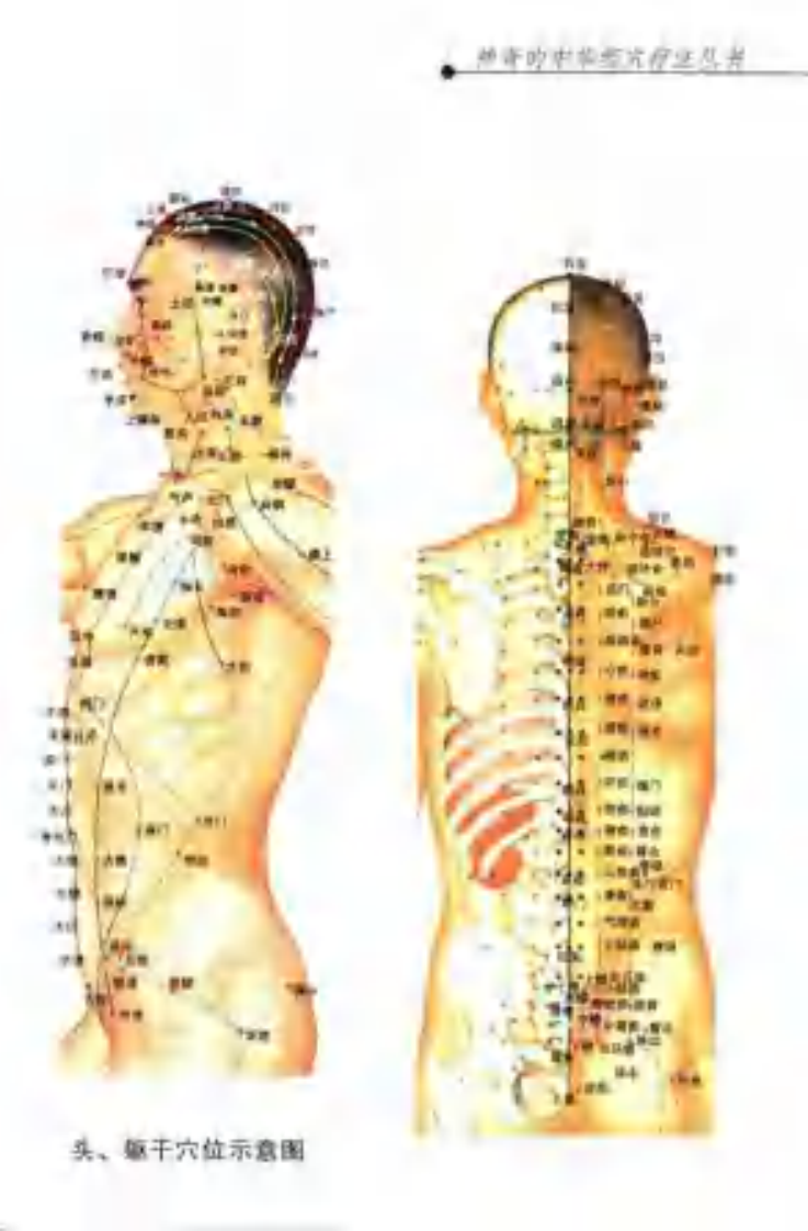 [经穴灸法].孙静.程凯.李彦知.周宜强.扫描版.pdf 第5页