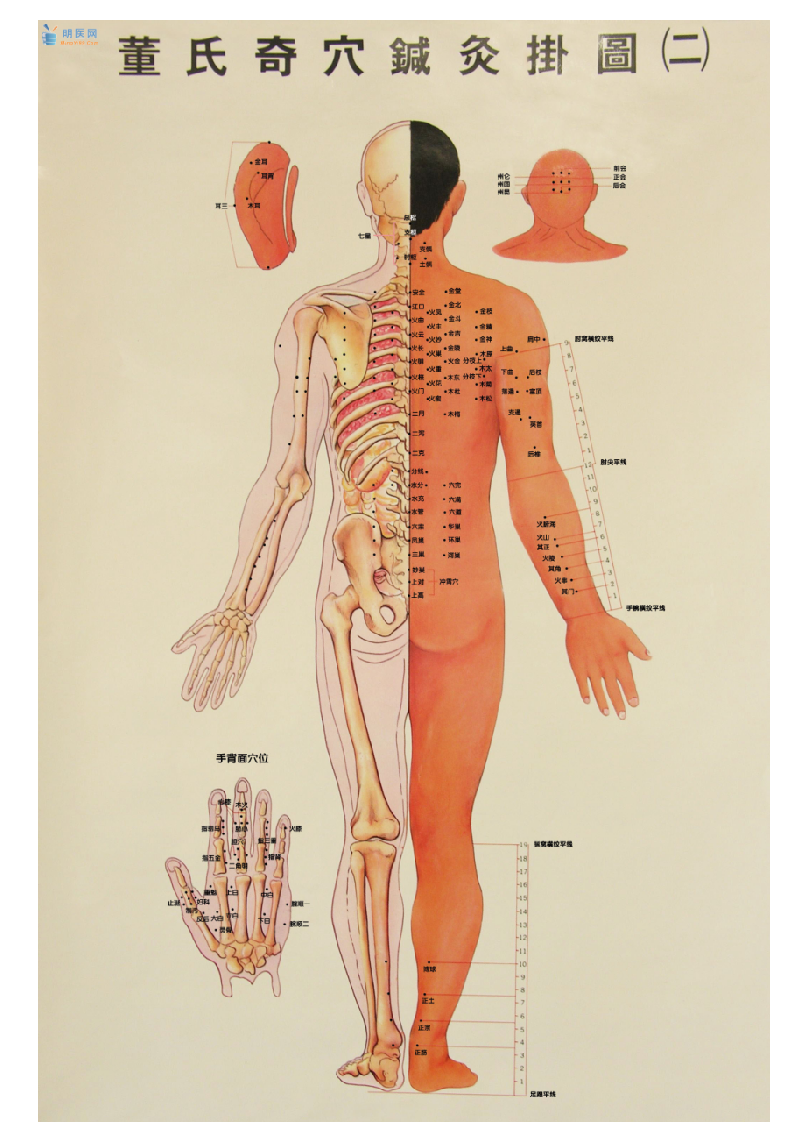 董氏奇穴.doc 第3页