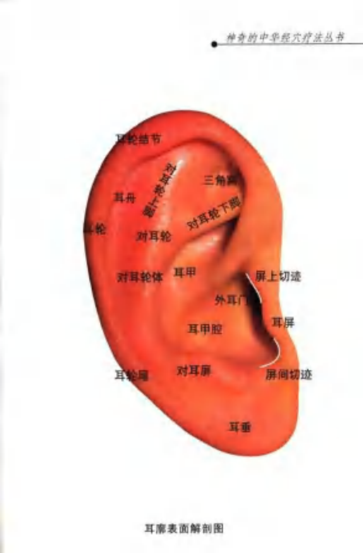 [耳穴压豆疗法].刘平.刘从明.李彦知.李光宇.扫描版.pdf 第5页