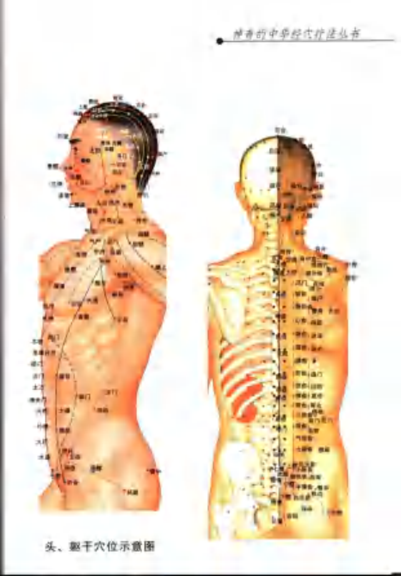 [经筋疗法].李俊德.赵美丽.柳百智.王仰宗.扫描版.pdf 第5页