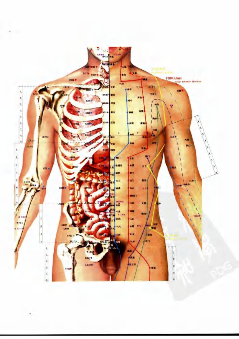 [名医评析单穴治病大全].解秸萍.扫描版.pdf 第4页