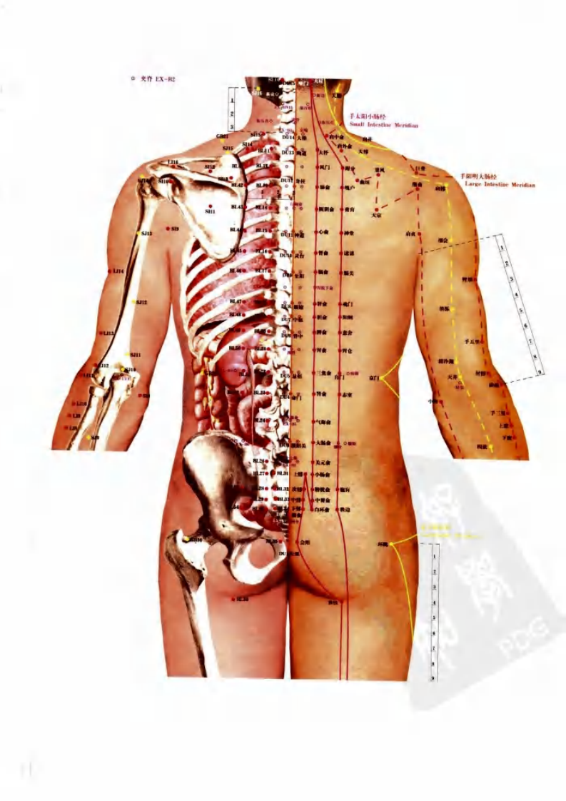 [名医评析单穴治病大全].解秸萍.扫描版.pdf 第5页