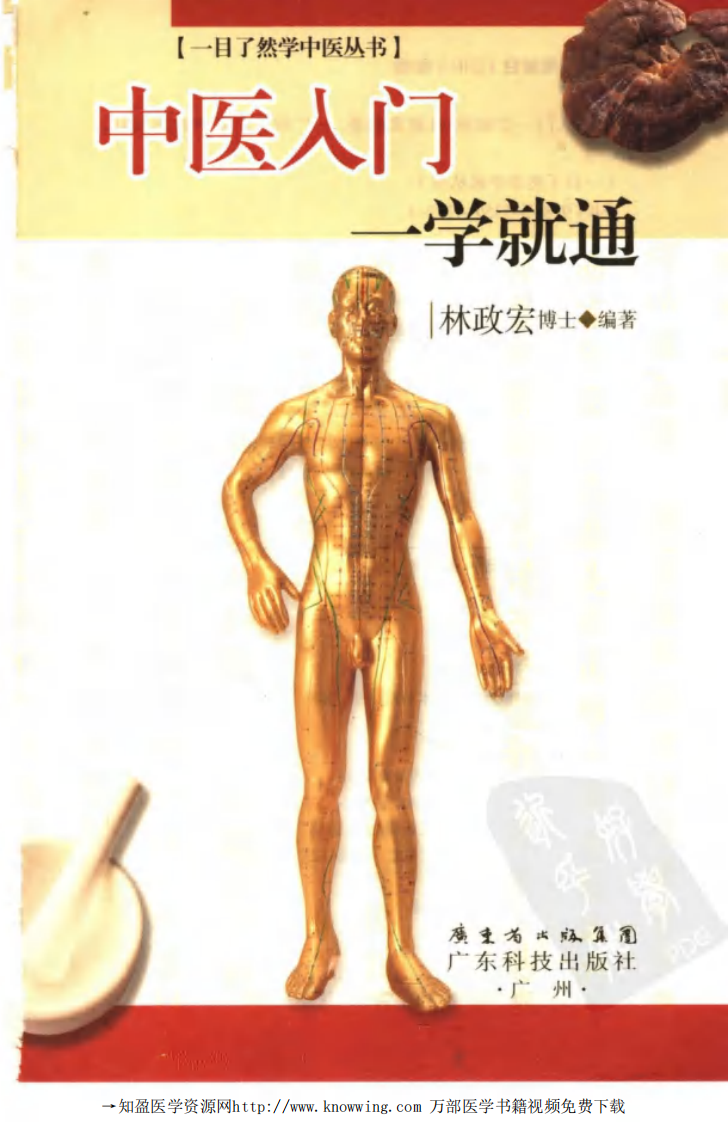 中医入门一学就通.pdf 第3页