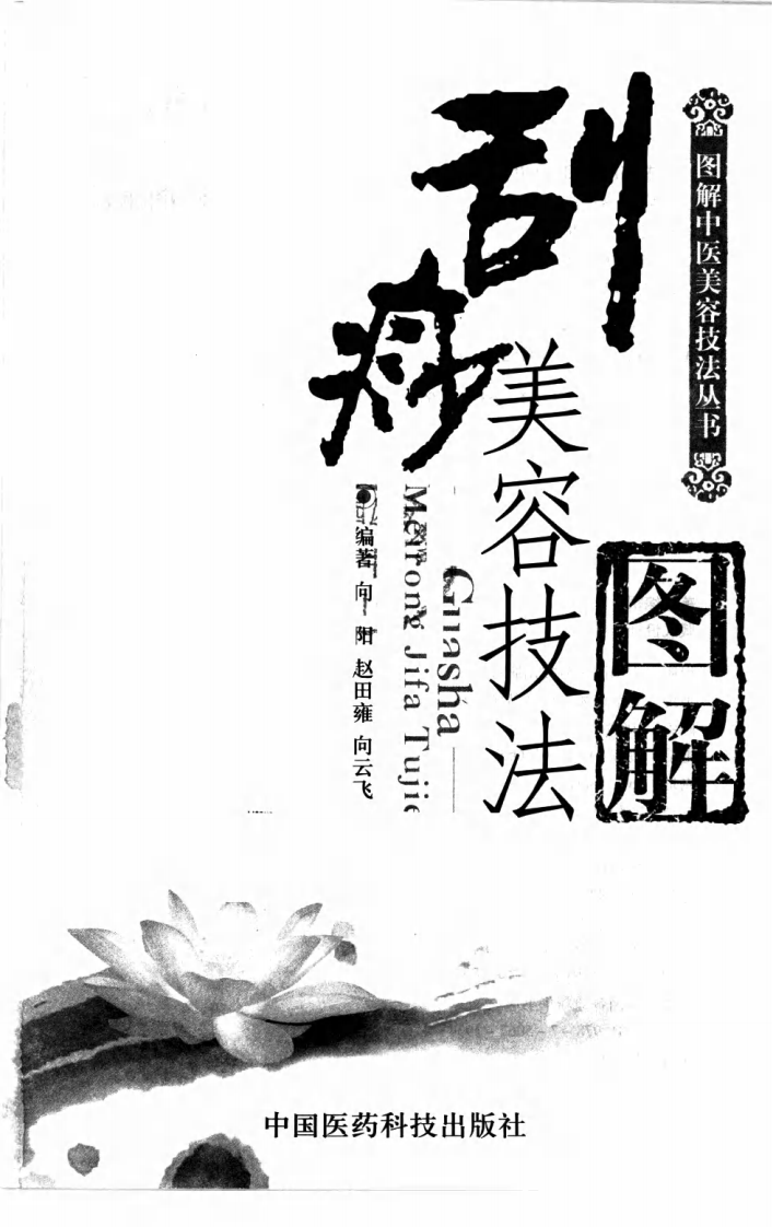 刮痧美容技法图解.pdf 第3页