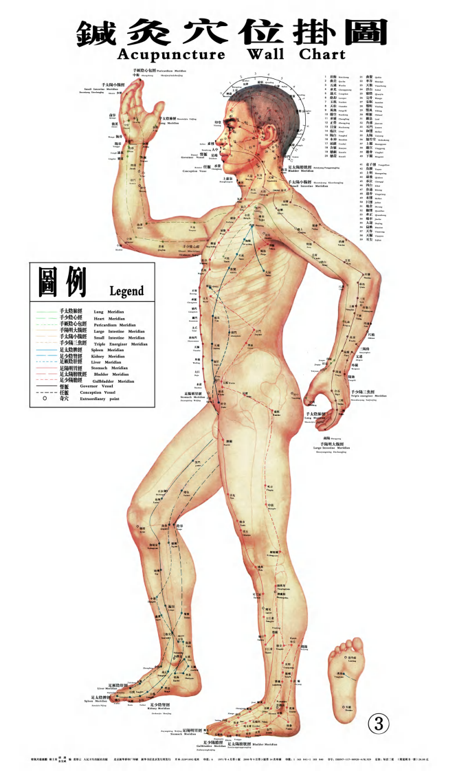 针灸穴位大挂图.pdf 第3页