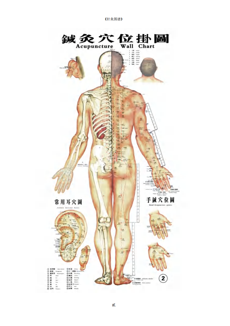 《针灸图谱》迟暮原创首发-清晰PDF彩图.pdf 第3页