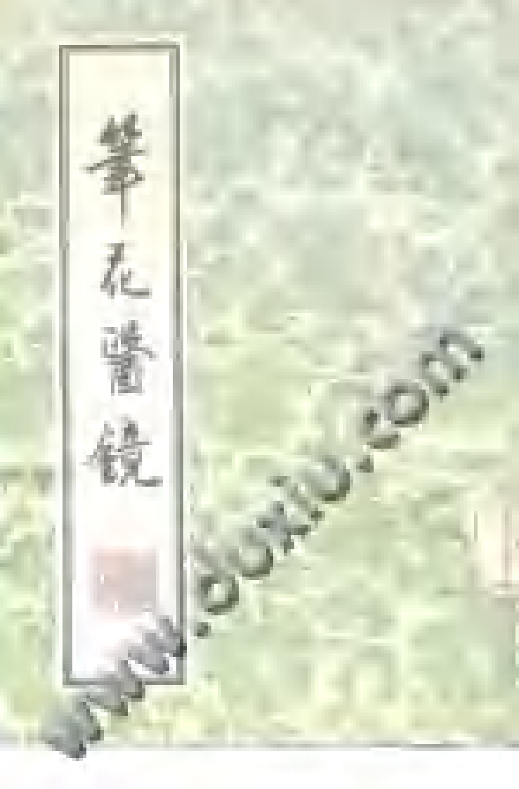 笔花医镜.pdf 第1页