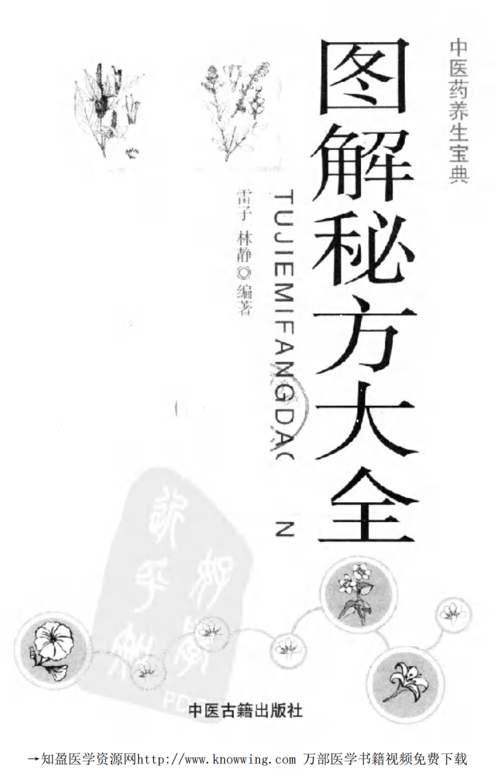 图解秘方大全（中医药养生宝典）.pdf 第2页