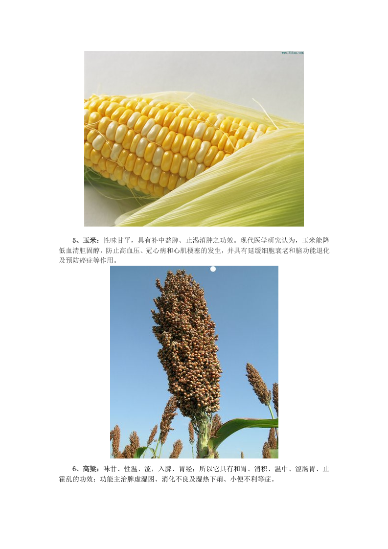 食疗养生：小米安眠糙米解毒 16种杂粮功效大揭秘.doc 第3页