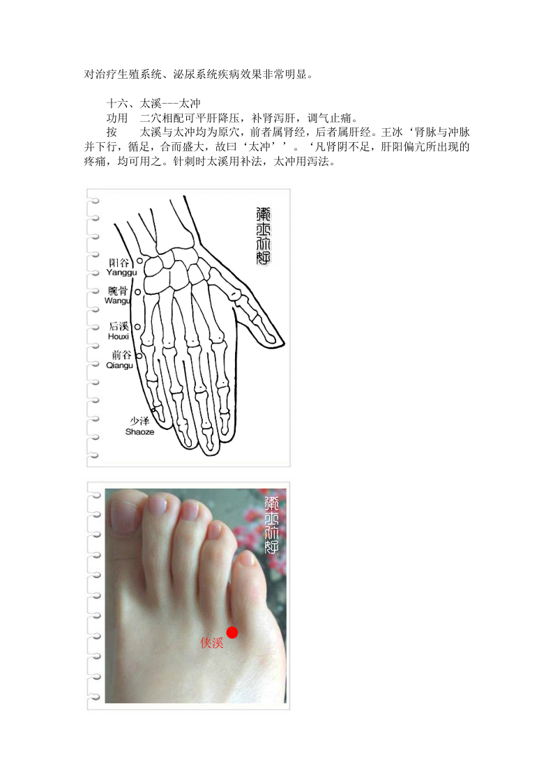 中医治痛.doc 第5页