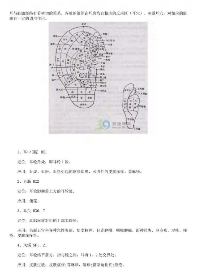 经络穴位图.pdf 第2页