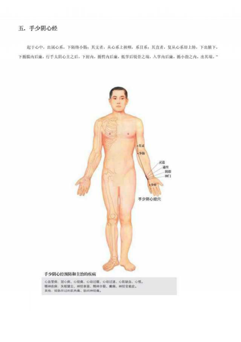 人体十二经络图.pdf 第5页