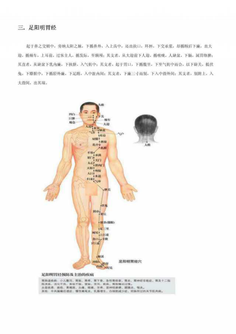 人体十二经络图.pdf 第3页
