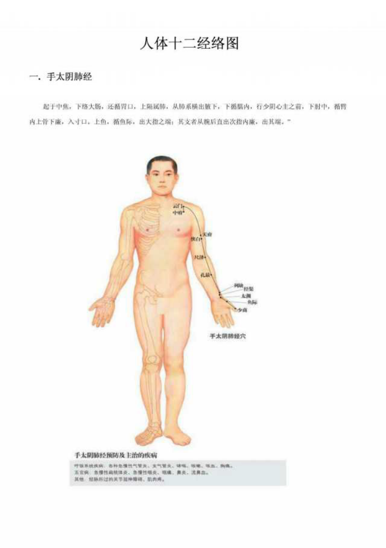 人体十二经络图.pdf 第1页