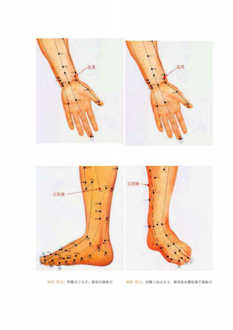 十二经络与养生.pdf 第5页