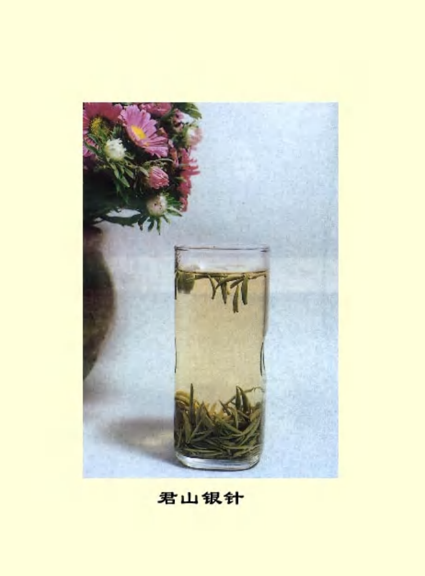 茶饮保健顾问.pdf 第5页