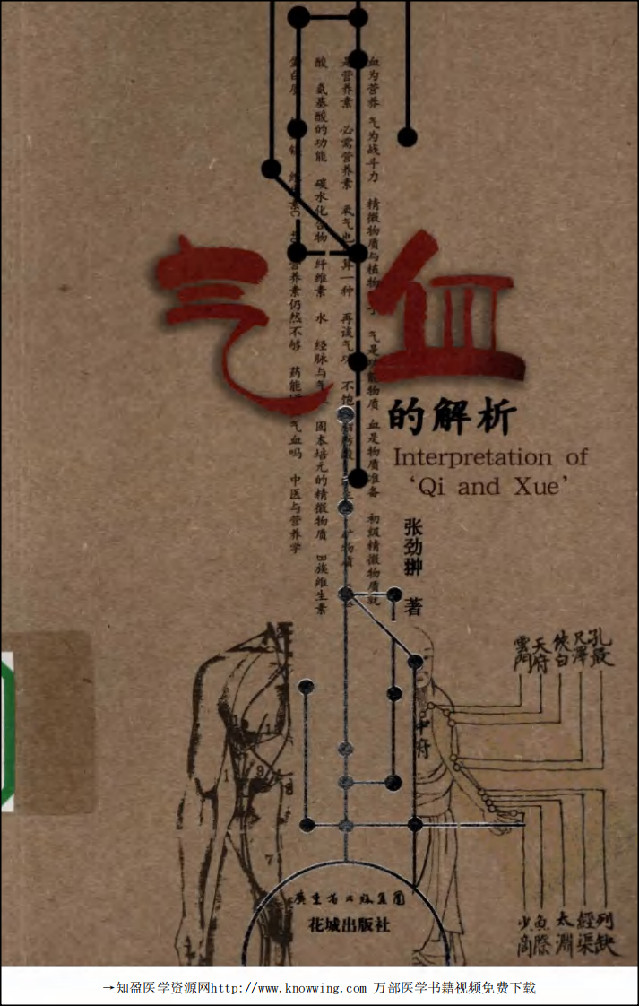 气血的解析.pdf 第1页