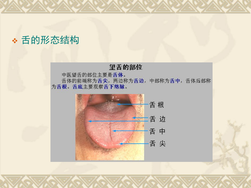 舌__诊.ppt 第4页