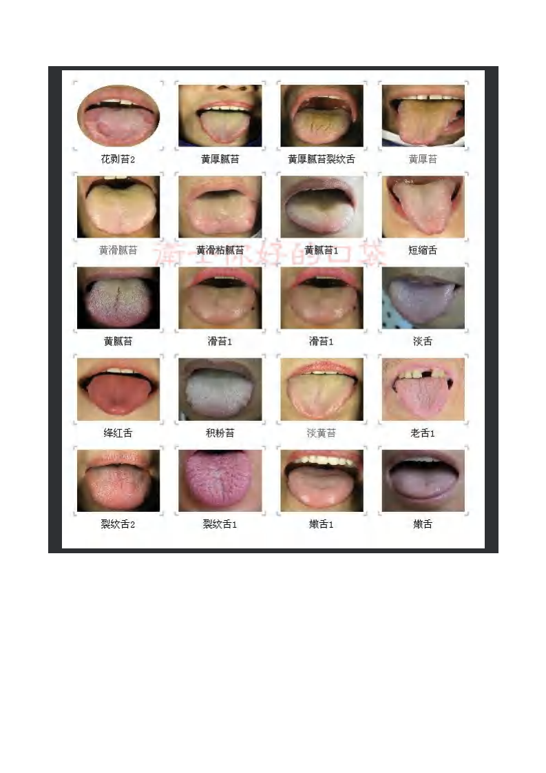舌诊图谱(精华).pdf 第2页