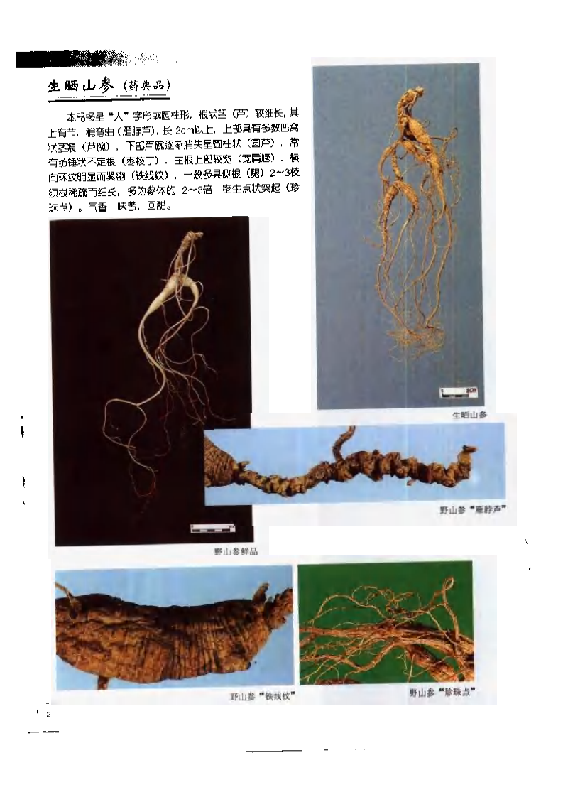 中国中药材真伪鉴别图典：常用贵重药材、进口药材分册(1).pdf 第2页