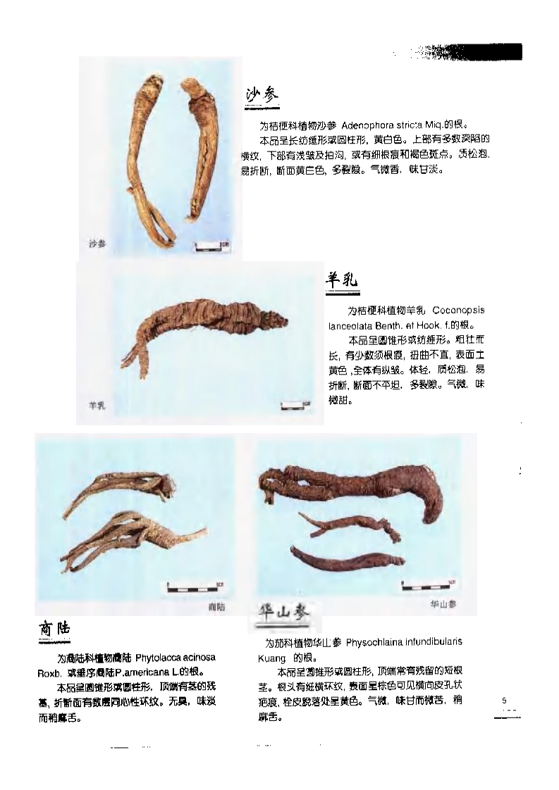 中国中药材真伪鉴别图典：常用贵重药材、进口药材分册(1).pdf 第5页