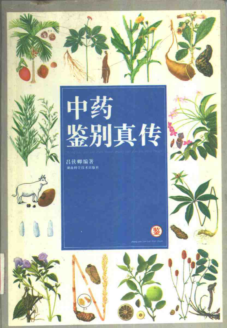 中药鉴别真传.pdf 第1页