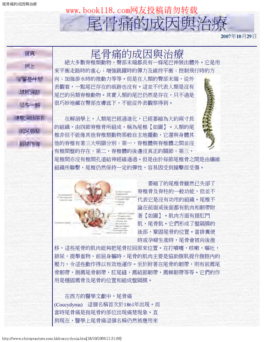 尾骨痛的成因與治療 腰脊椎骨.PDF 第1页