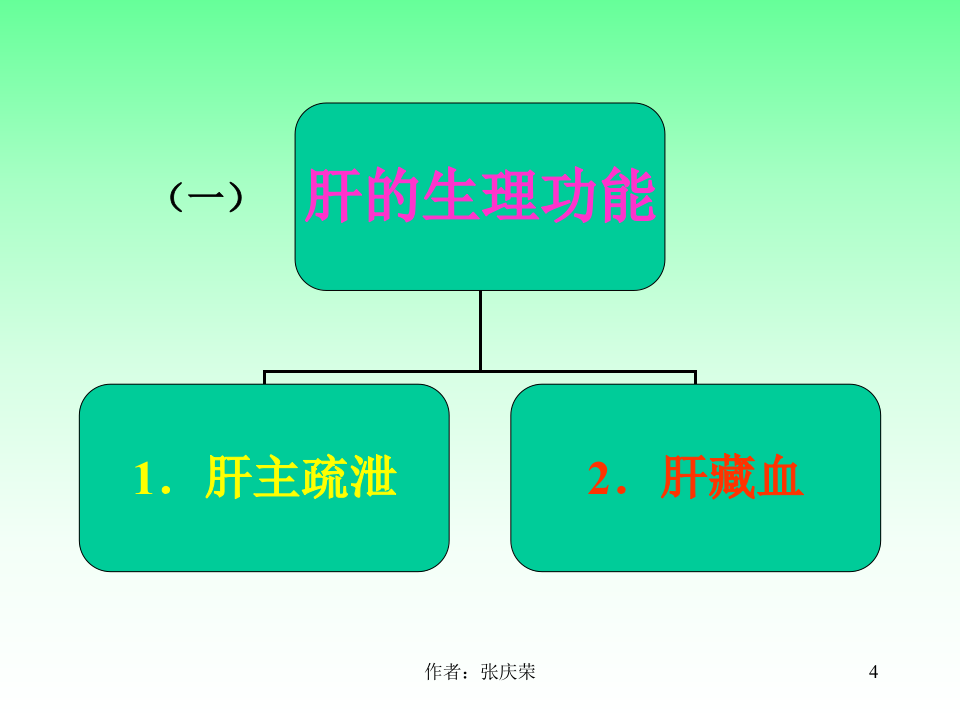 2-2.1_肝.ppt 第4页