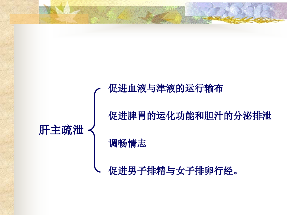 第三章__藏象__肝肾.ppt 第5页