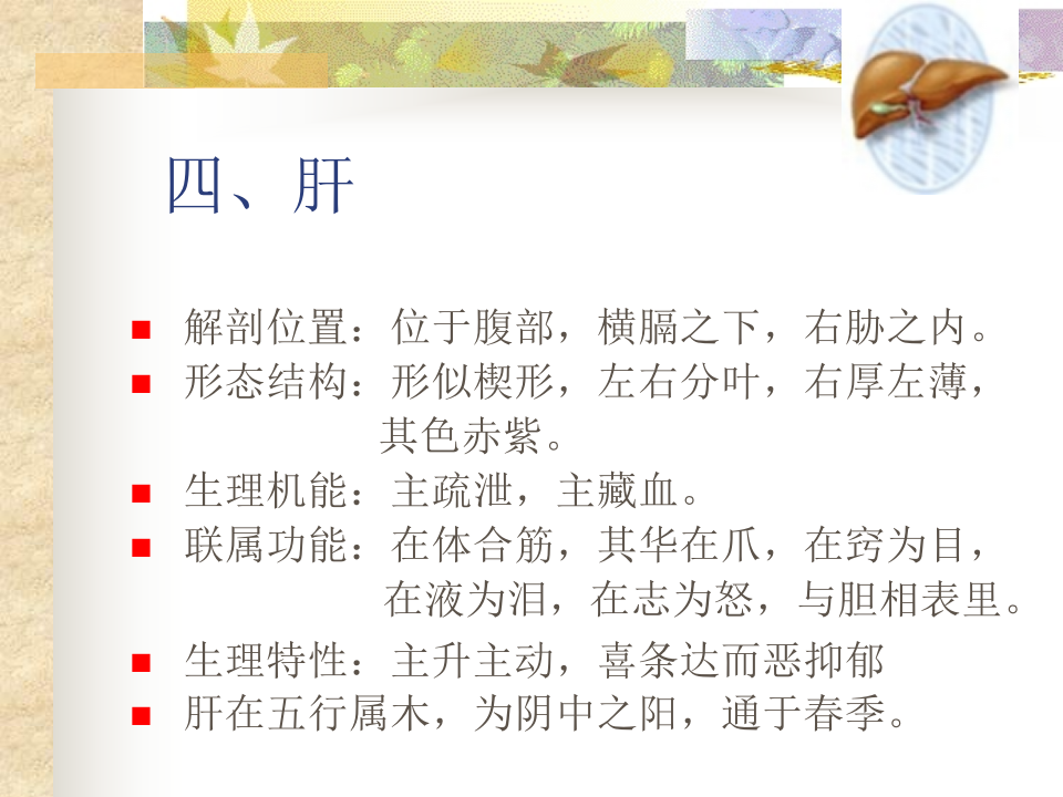 第三章__藏象__肝肾.ppt 第2页