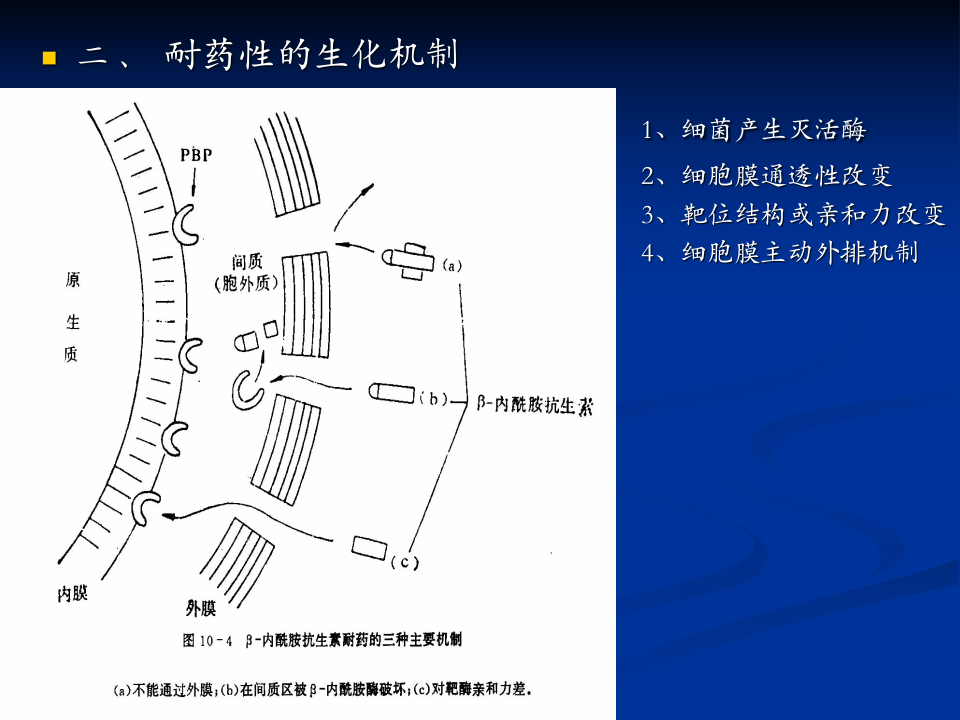 抗生素-4.ppt 第3页