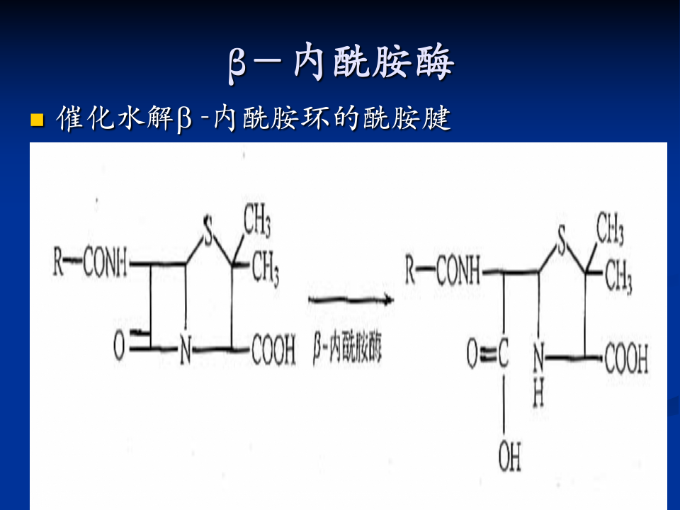 抗生素-4.ppt 第5页