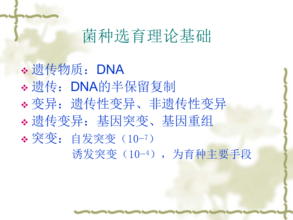 抗生素-5.ppt 第5页