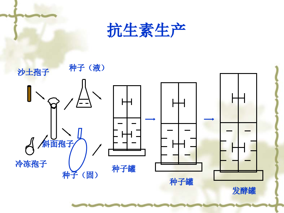 抗生素-5.ppt 第1页