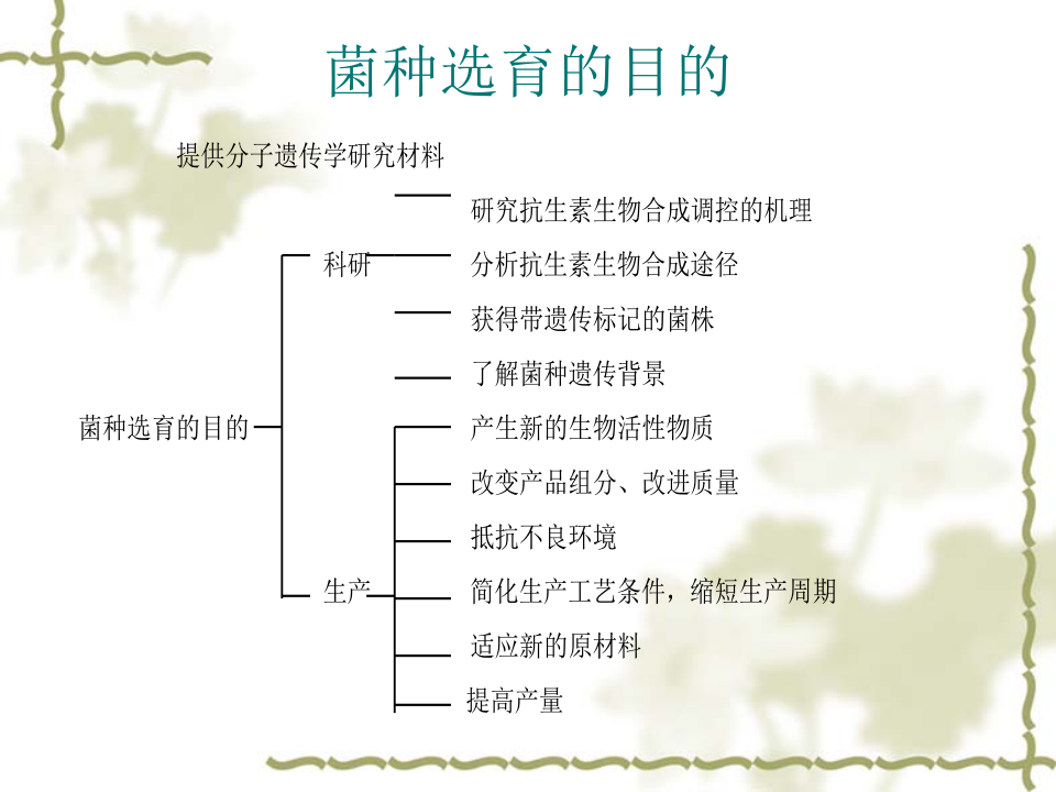 抗生素-5.ppt 第4页